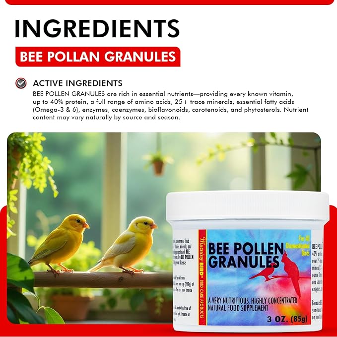 Morning Bird Bee Pollen Granules 3 Oz – Naturally Immune Support & Protein Powder for Birds – Boosts Strength, Feather Health & Energy Supplements – Easy to Mix with Food for All Bird Types