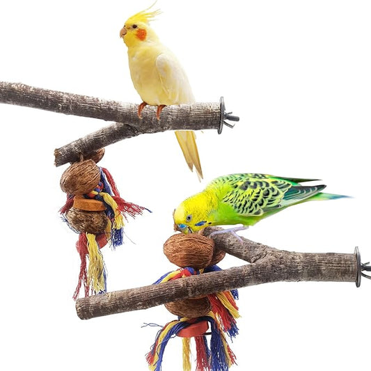 kathson Natural Bird Perches for Cage,Wooden Parrot Stand Branch with Chewing Nuts Toys Exercising Standing Parakeet Cage Accessories for Conures Budgies Finches Cockatiels Lovebird (2 PCS)