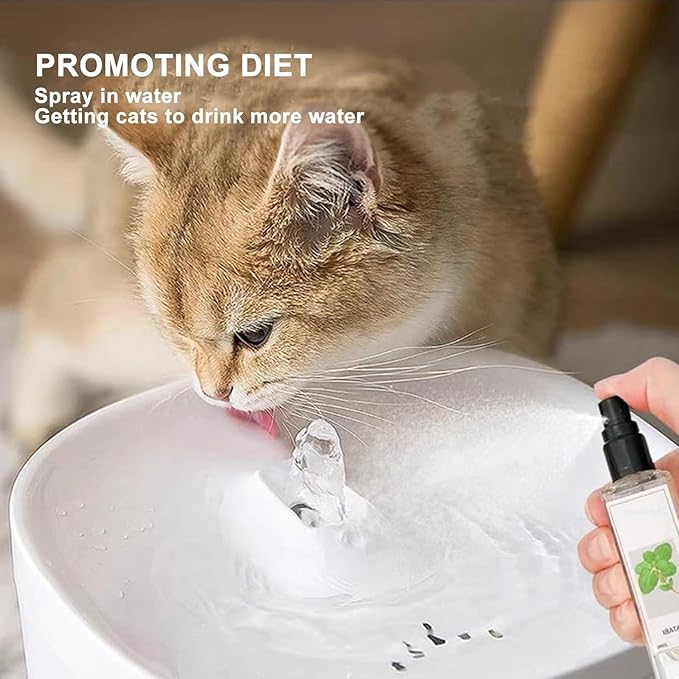 Kitty Joy Herbal Cat Joy, Herbal Cat Joy Spray, Celery Pets Catnip Spray, Catnip Spray for Indoor Cats, Cat Calming Spray, Anti Scratch Cat Spray, Cat Training Spray with Catnip, Cat Nip Spray (4PCS)