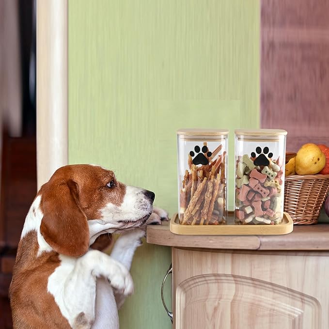 37oz Dog Treat Container Set of 2, Glass Dog Treat Jars for Kitchen Counter with Airtight Bamboo Lids, Small Pet Treat Canister,Puppy Food Bin for Kitchen Counter,Freshness Seal-Clear