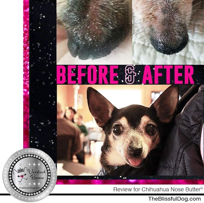 The Blissful Dog Smooth Coat Chihuahua Nose Butter for Dry, Cracked Skin, Lick-Safe Dog Nose Balm with Moisturizing Shea Butter, Almond, Olive, and Essential Oils, Pet Supplies, Uncented, 8 oz.