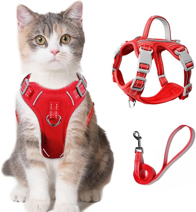 Cat Harness and Leash Set for Walking Escape Proof for Small Large cat Kitten Harness with ID tag Pocket (Red,S)