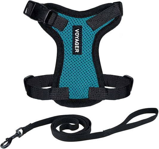 Voyager Step-in Lock Adjustable Cat Harness w. Cat Leash Combo Set with Neoprene Handle 5ft - Supports Small, Medium and Large Breed Cats by Best Pet Supplies - Turquoise/Black Trim, XS