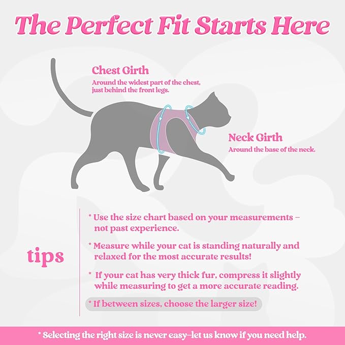 rabbitgoo Cat Harness and Leash Set for Walking Escape Proof, Adjustable Soft Kittens Vest with Reflective Strip for Cats, Comfortable Outdoor Vest, Pink, S