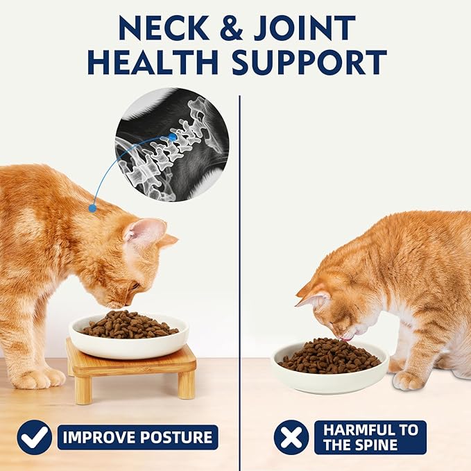 Elevated Cat Bowls for Indoor Cats – Raised Bamboo Cat Bowl Stand with 5.75 Inch Wide Ceramic Dishes, Pet Food Plate Table for Easy Feeding, Whisker Friendly (White,Set of 2)