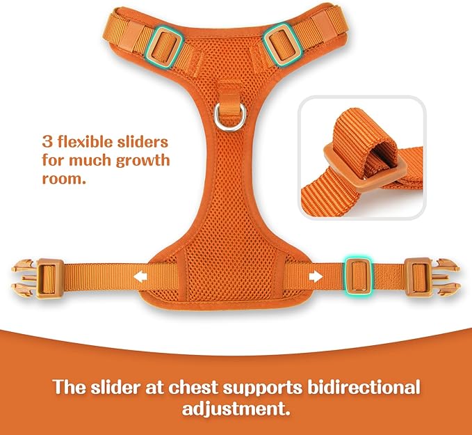 No Pull Dog Harness for Small Medium Large Dogs - Adjustable Two-Layer Mesh Dog Vest with Dual Clip, Escape Proof, Quick Release, Lightweight Breathable Mesh for Walking Hiking (Orange,XS)