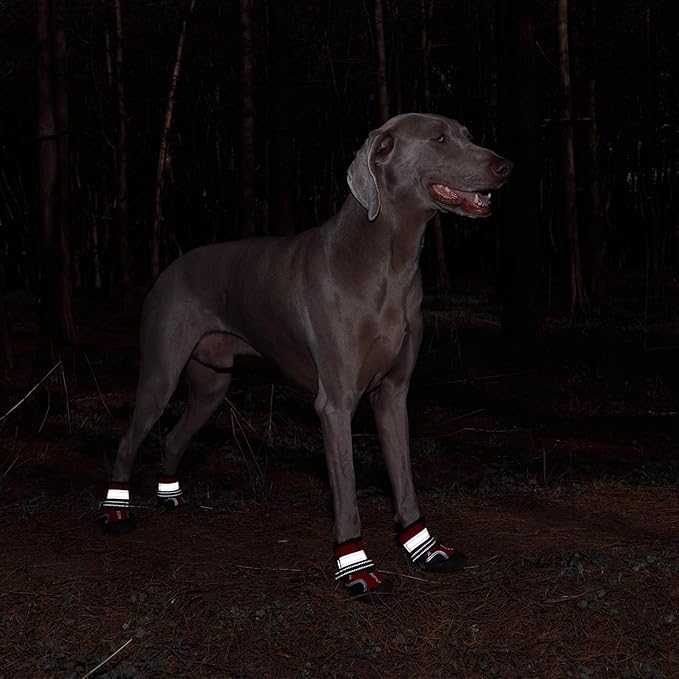 Dog Shoes for Large Dogs, Medium Dog Boots & Paw Protectors for Hardwood Floors, Outdoor Dog Booties for Hot Pavement Winter Snow Hiking, Waterproof Dog Shoes with Reflective (Red, 6# (L))