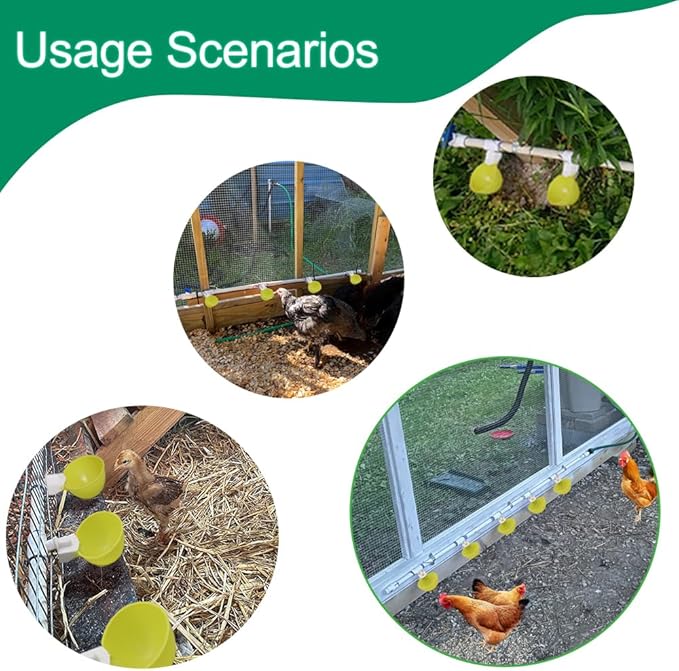 Automatic Chicken Waterer with Nuts 12Sets Bird Drinker Cups Watering System for Quail Pigeon Poultry Drinking