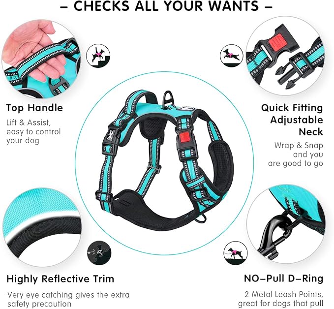 PoyPet No Pull Dog Harness, [Release at Neck] Reflective Adjustable No Choke Pet Vest with Front & Back 2 Leash Attachments(Mint Blue,M)