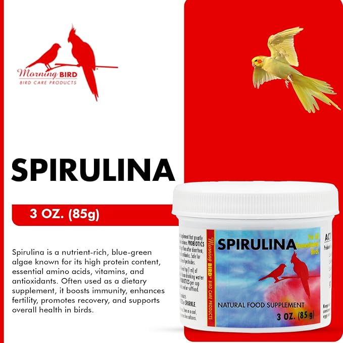 Morning Bird Spirulina, Supplement for Caged Birds, Organic Bird Food Supplement with Vitamins, Proteins, and Amino Acids for Parakeets, Cockatiels, Budgies, Finches, Canaries, and Parrots, 3 oz