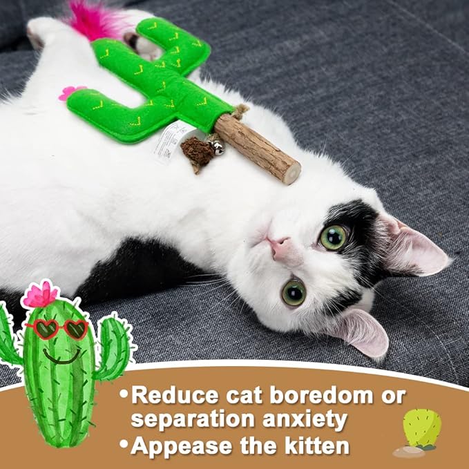 PAZ'S GIFT Catnip Toys - Cat Kick & Rope Toys for Indoor Play, Cat & Kitten Teething Chew Toys for Aggressive Chewing & Teeth Cleaning (Polygonum tinctorium Cactus)