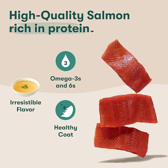 Jinx Bone Broth Stew for Dogs - Salmon & Vegetables Recipe - Grain-Free Wet Dog Food & Topper for Picky Eaters - Promotes Lean Muscle Growth, A Healthy Coat & Improved Digestion - 13 Oz, 12 Pack