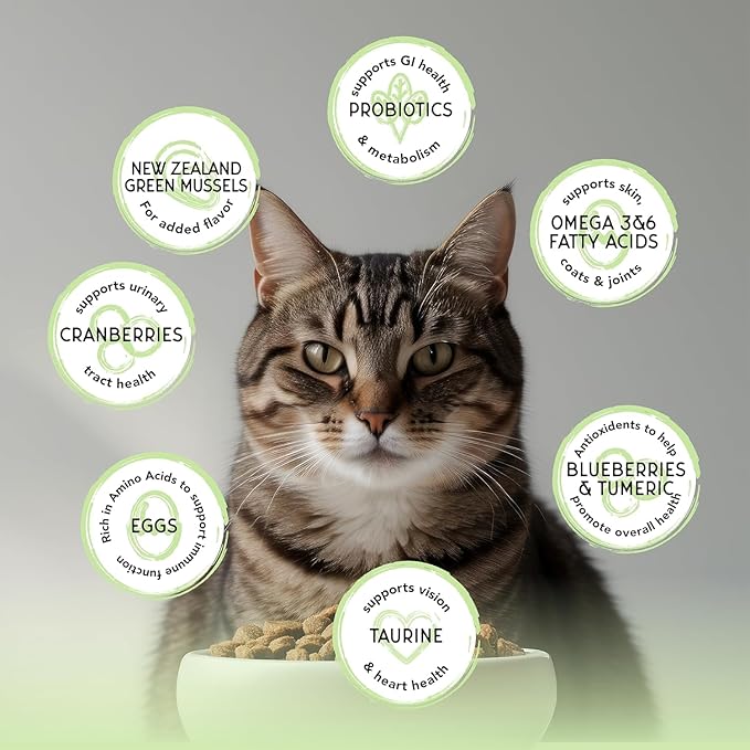 Blackwood Bounty Dry Cat Food, Whitefish & Lentil Recipe for All Life Stages, 10 Pound Bag, High Protein, Grain Free