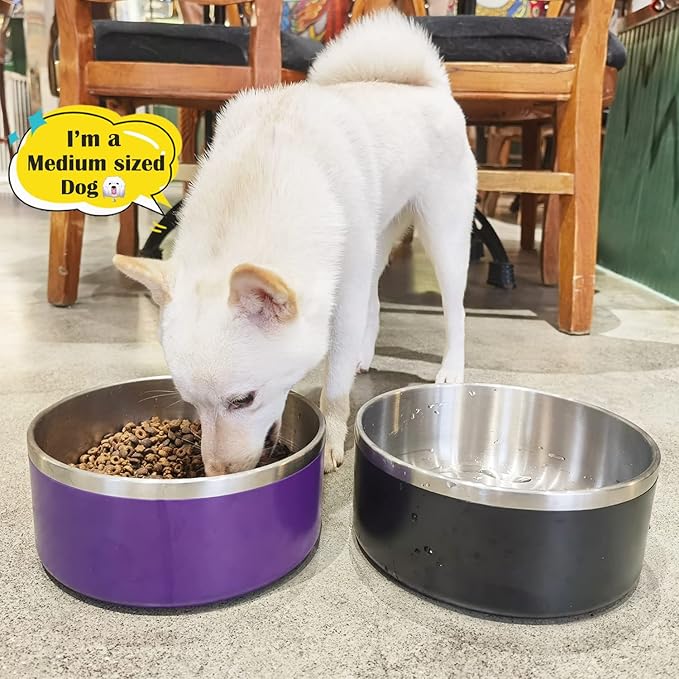 LIHONG Stainless Steel Dog Bowls for Small Medium Sized Dogs Non Slip,Insulated Dog Bowl,Pet Bowl for Food and Water,Rustproof(40oz,Purple)