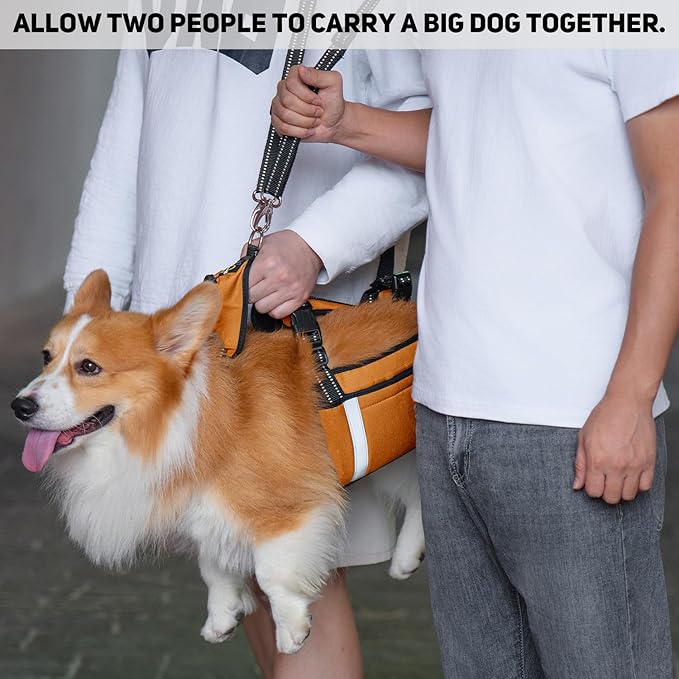 COODEO Mobility Dog Lift Harness, Emergency Carry Sling, Pet Rear Leg Support Rehabilitation Lifts Vest, Dog Carrier for Senior Dogs Joint Injuries, Arthritis (Orange, M)