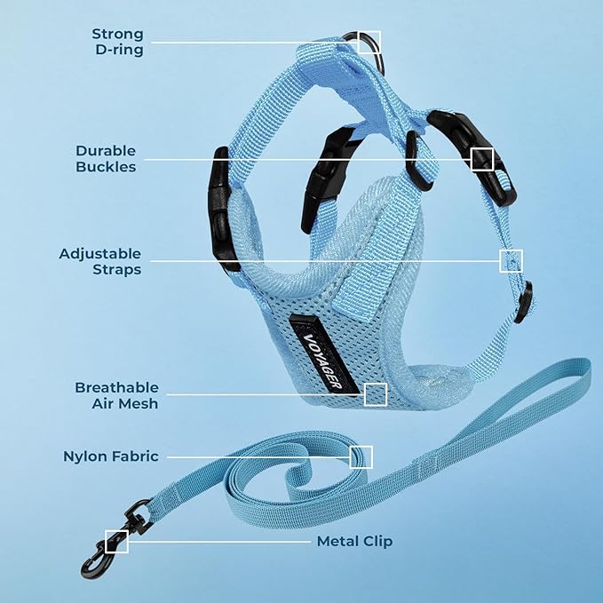 Voyager Step-in Lock Adjustable Cat Harness w. Cat Leash Combo Set with Neoprene Handle 5ft - Supports Small, Medium and Large Breed Cats by Best Pet Supplies - Baby Blue, XS