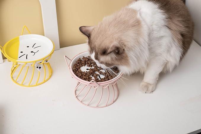 2PCS Ceramic Shallow Cat Food Dishes with Non-Slip Mat, Elevated Cat Food Bowl with Raised Metal Stand, Small Dog Bowl, Whisker Fatigue Pet Food Plate, Dishwasher Safe