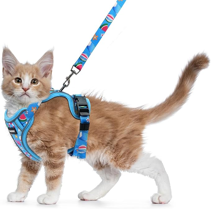 Halypet Cat Harness and Leash Set for Walking, Escape Proof Adjustable Vest Harness with 3-in-1 Integrated Buckles, Easy Control Soft Breathable Mesh with Reflective Strips for Cats, S, Ocean Blue