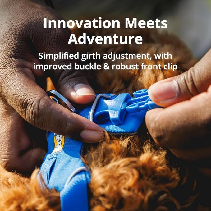 Ruffwear, Front Range Dog Harness, Reflective Soft Padded Everyday Harness with Dual Leash Clips, Adjustable and Lightweight Fit for Training or Walking for All Dogs, Coastal Mountains, XX-Small