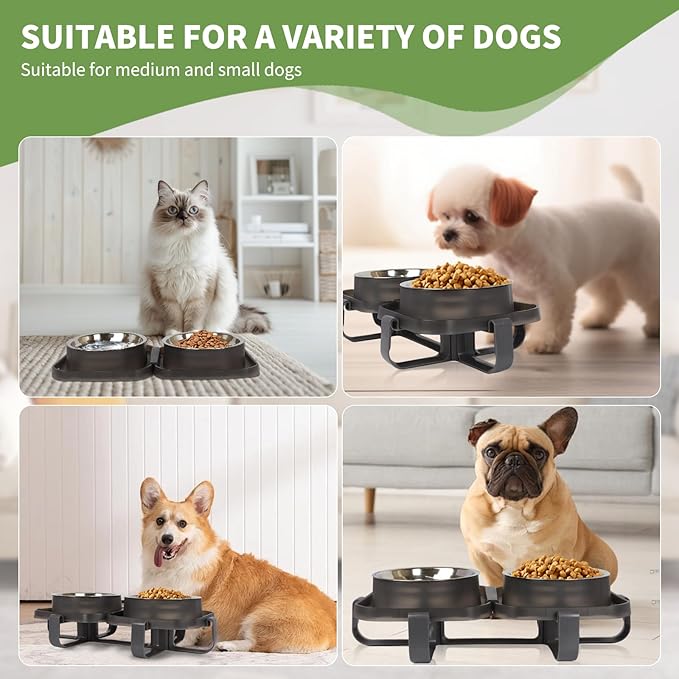 Elevated Dog Bowls, Stainless Steel Raised Dog Bowl with No Spill Dogs Food & Water Bowl for Small Medium Breed, Neater Dogs Feeding Station Non-Slip Water Bowls Set of 2 with Stand for Pet