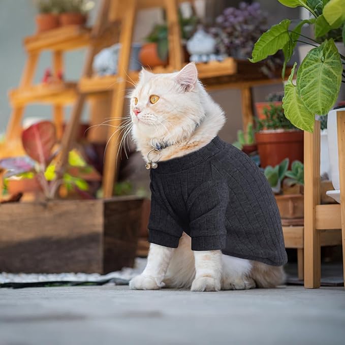 Idepet Sphynx Hairless Cats Sweater Shirt Kitten Soft Puppy Clothes Pullover Cute Cat Pajamas Jumpsuit Cotton Apparel Pet Winter Turtleneck for Cats and Teacup Chihuahua Small Dogs(Black,M)