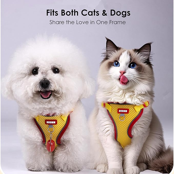 Cat Harness and Leash Set for Walking – Escape-Proof Reflective Vest for Cats and Small Dogs, Adjustable Soft Air Mesh with Pressure-Reducing Design, 4.92ft (Blue & Purple, XL)