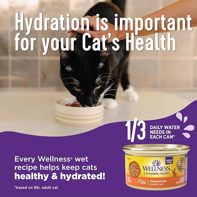 Wellness Complete Health Gravy and Minced Adult Wet Cat Food, Natural, Protein-Rich, Grain-Free, 3 Ounce, 12 Pack, (Chicken & Turkey Lovers Variety Pack)