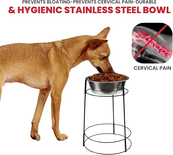 SPOT Hi Rise Single Diner Elevated Dog Feeder, 2qt Stainless Steel Bowl, Durable Wire Stand, Hygienic, Easy to Clean, Promotes Proper Posture for Tall Pets, Ideal for Medium and Large Breeds, 14.25in