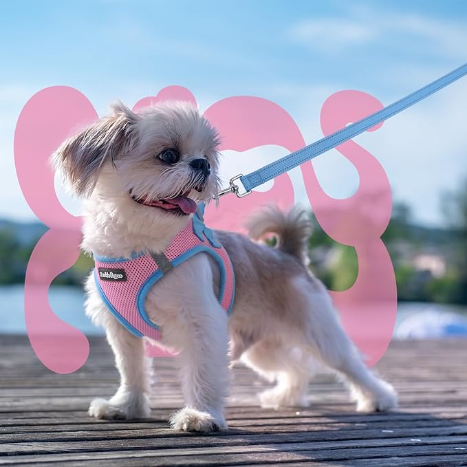 rabbitgoo Dog Harness Small Sized and Leash Set, Step-in Breathable Pet Harness, Soft Walking Reflective Puppy Vest for Small Dogs, Pink & Light Blue, XXS