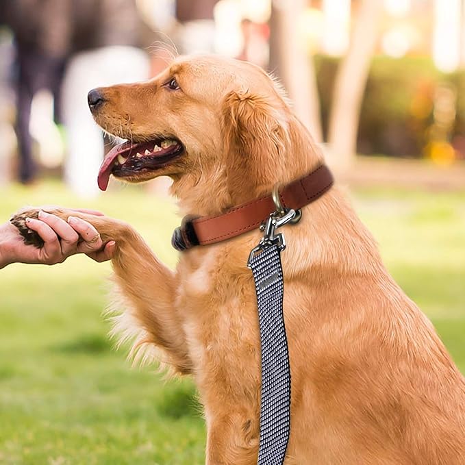 Hi Kiss Dog/Puppy Obedience Recall Training Agility Lead - 15ft 20ft 30ft 50ft 100ft Training Leash - Great for Training, Play, Camping, or Backyard(30ft,Black_White)