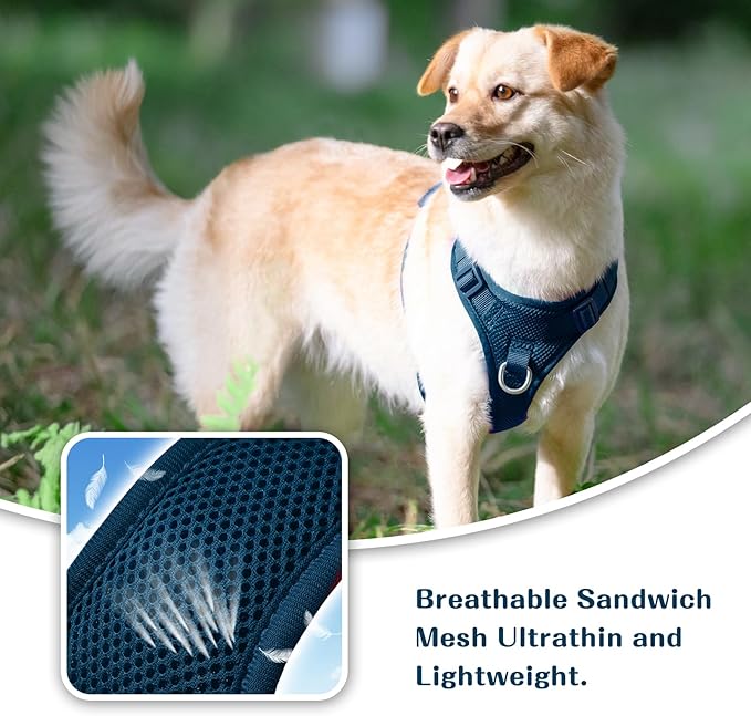 No Pull Dog Harness for Small Medium Large Dogs - Adjustable Two-Layer Mesh Dog Vest with Dual Clip, Escape Proof, Quick Release, Lightweight Breathable Mesh for Walking Hiking (Prussian Blue,M)