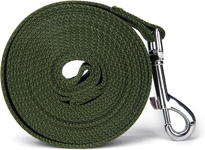 Strong Durable 10ft Nylon Dog Training Leash, 1 Inch Wide Traction Rope, for Small and Medium Dog (Military Green, 10 Feet)