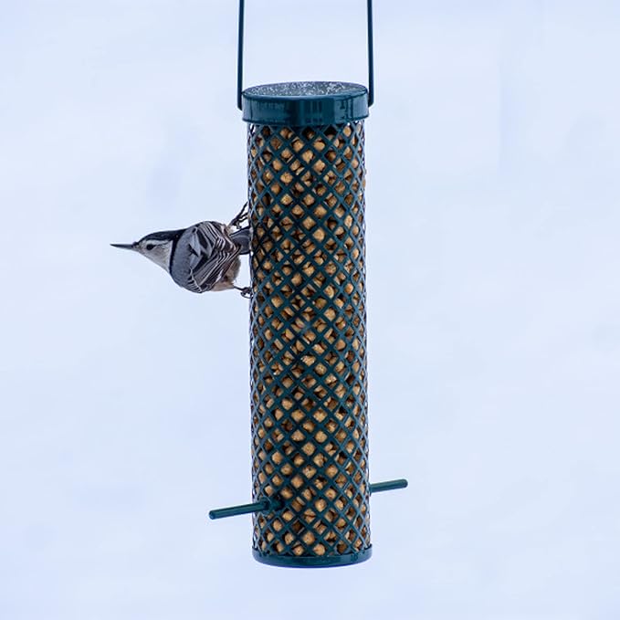 C&S CS06110 Sunflower Suet Nuggets, 27-Ounce (Pack of 2)