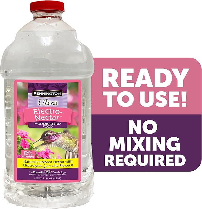 Pennington 100543828 ElectroNectar Hummingbird Food Ready to Use, Clear