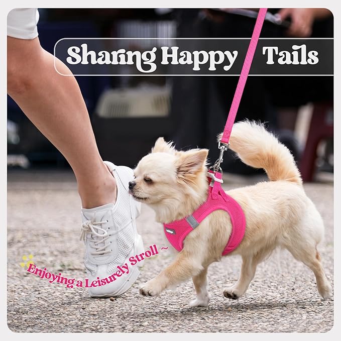 rabbitgoo Dog Harness Small Medium Sized and Leash Set, Step in Soft Light Puppy Vest, Breathable Mesh Pet Harness, Reflective for Safe Easy Walking, Rosa Red XL