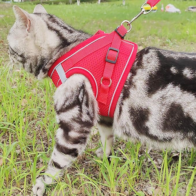 Puppy Harness and Leash Set, Escape Proof Dog Cat Vest Harness for Cats Small Medium Dogs, Adjustable Reflective Step in Harness,Soft Mesh Comfort Fit No Pull No Choke (Small(11.8"-13.3"), Red)