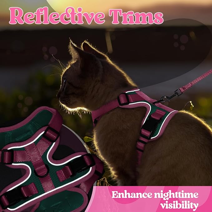 rabbitgoo Cat Harness and Leash Set, Escape Proof Soft Adjustable Vest Harnesses for Outdoor Walking, Easy Control Breathable Kitten Jacket with Reflective Strips, Green & Pink, XXS