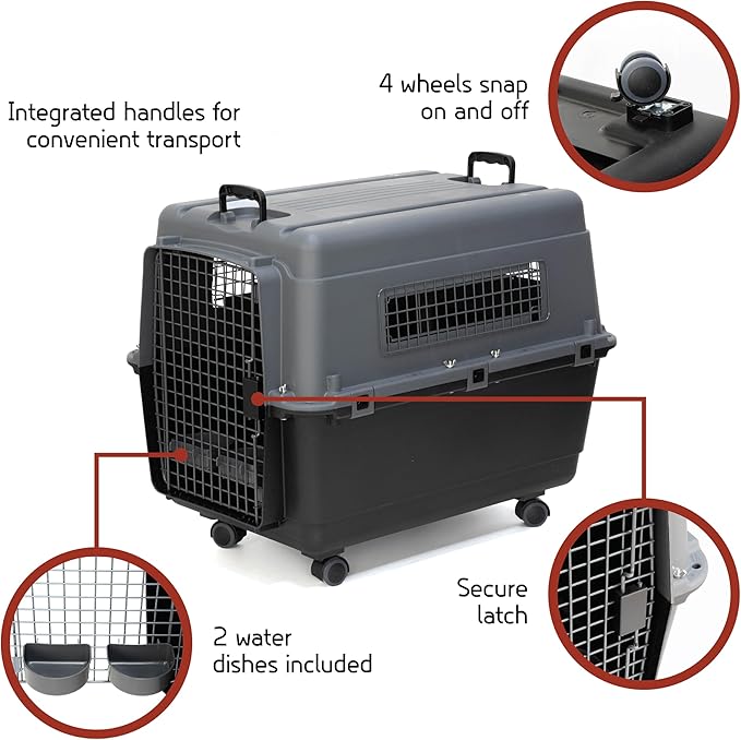 SportPet Designs Plastic Airline Approved Kennels Wire Door Travel Dog Crate, Large