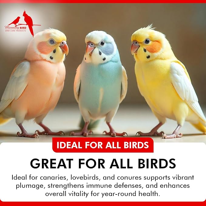 Morning Bird Bee Pollen Granules 16 Oz – Naturally Immune Support & Protein Powder for Birds – Boosts Strength, Feather Health & Energy Supplements – Easy to Mix with Food for All Bird Types