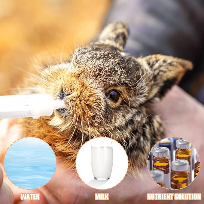 Baby Bird Feeding Syringe Set, Pet Parrot Milk Feeding Syringe with Tubes, Parrot Feeding Tubes Measuring Tools for Feeding Pets Scientific Industrial Labs (20ml)