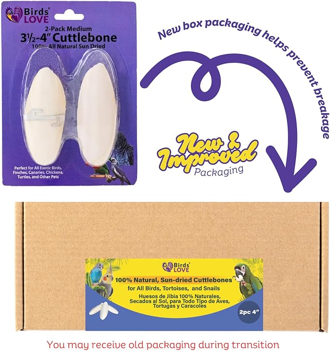 Birds LOVE Natural Cuttlebone for Birds & Reptiles – 100% Pure Sun-Dried Calcium Supplement – Supports Beak, Bone & Shell Strength – Safe Daily Use - 2 Pack with Holder, Size 3.5 to 4"