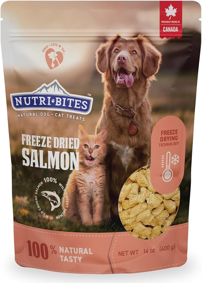 Nutri Bites Freeze Dried Salmon Dog & Cat Treats | Healthy Pet Training Treats or Food Topper | All Natural, 1 Single Animal Protein, High Protein | Premium Bulk Value Pack, 14 oz
