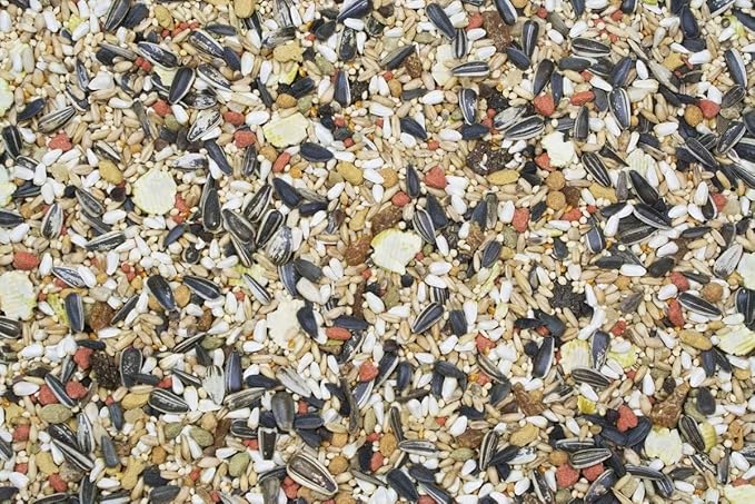 Aurora Pet Bundle (2) Higgins Vita Seed Cockatiel Food (2.5 lb Each) with AuroraPet Wipes