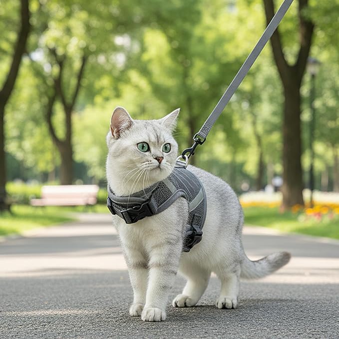 Cat Harness and Leash Escape Proof Kitten Harness Cat Leash for Walking Travel Service Cat Vest, Grey, X-Small