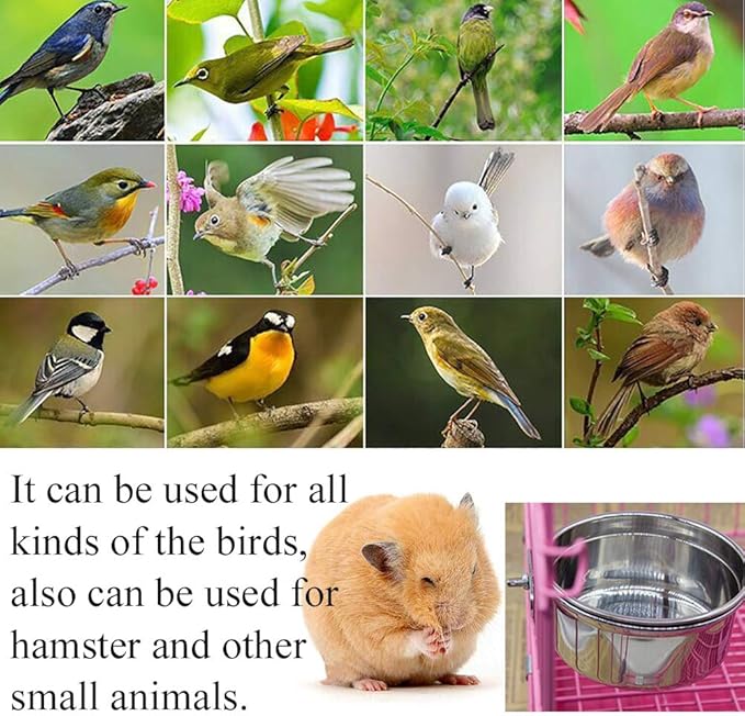 PINVNBY Stainless Steel Bowls for Birds,Parrot Feeding Dish Cups Parakeet Food Water Dishes with Clamp Holder Perches for Cockatiel Budgies Macaw Small Animal Chinchilla(5 Pack)