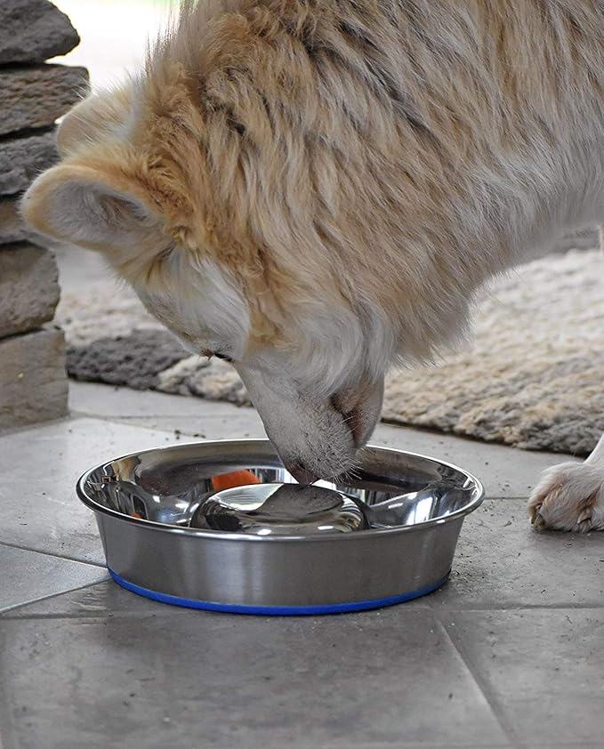 OurPet's Durapet Slow Feed Premium Stainless Steel Dog Bowl, Silver, Large (2040010302)