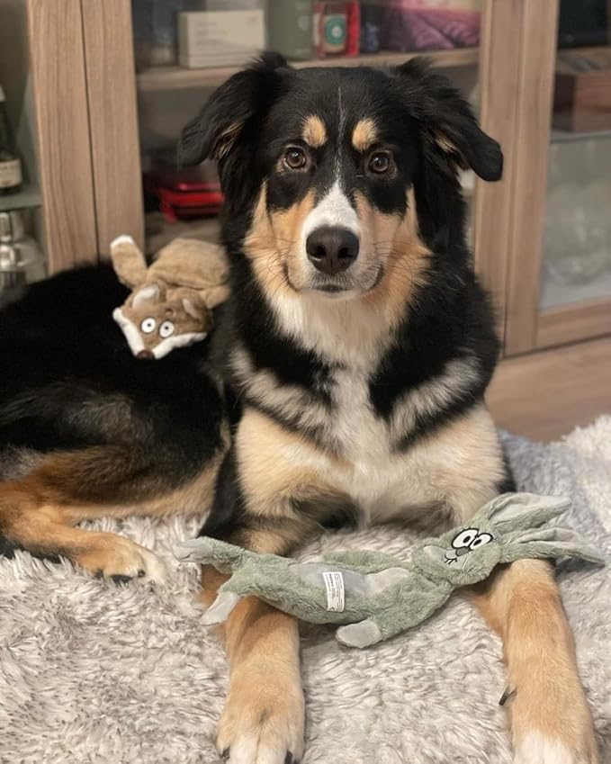 HGB No Stuffing Dog Toys for Aggressive Chewers, Squeaky Crinkle Plush Dog Toys to Keep Them Busy & Puppy Teething for Small, Medium, Large Breed, Cute Bunny & Sloth