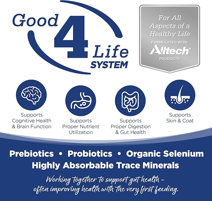 NutriSource Dry Dog Food, Trout and Rice, 12LB