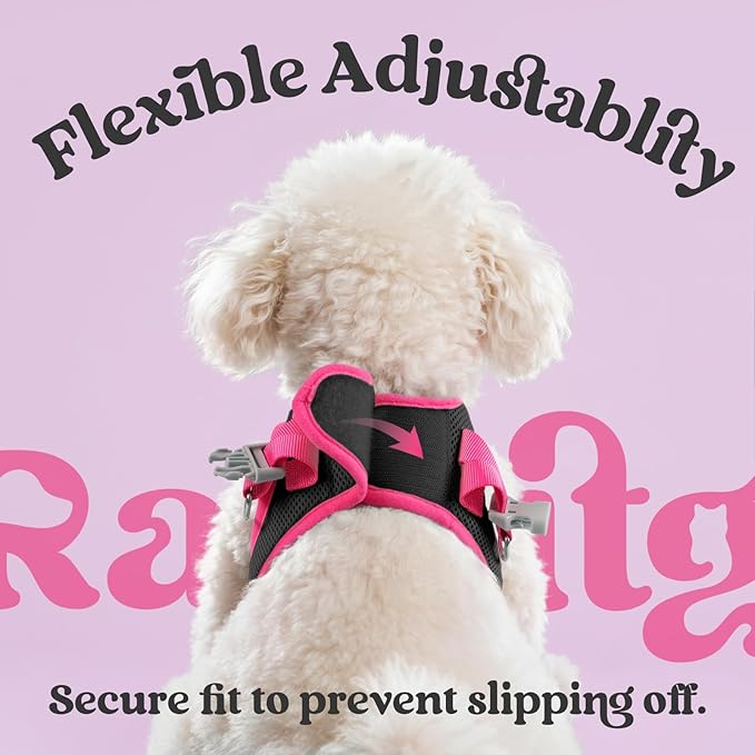 rabbitgoo Dog Harness Small Sized and Leash Set, Step-in Breathable Pet Harness, Soft Walking Reflective Puppy Vest for Small Dogs, Black & Rose Red, XXS