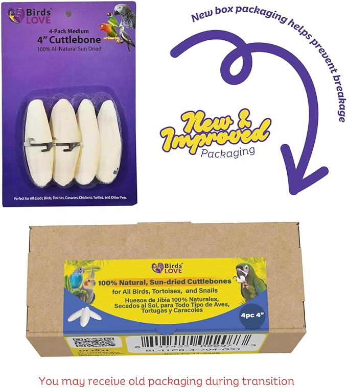 Birds LOVE Natural Cuttlebone for Birds & Reptiles – 100% Pure Sun-Dried Calcium Supplement – Supports Beak, Bone & Shell Strength – Safe Daily Use - 4 Pack with Holder, Size 3.5 to 4"